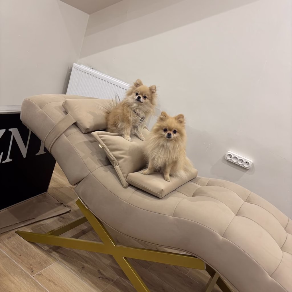 Obrazek #1 z Martyna